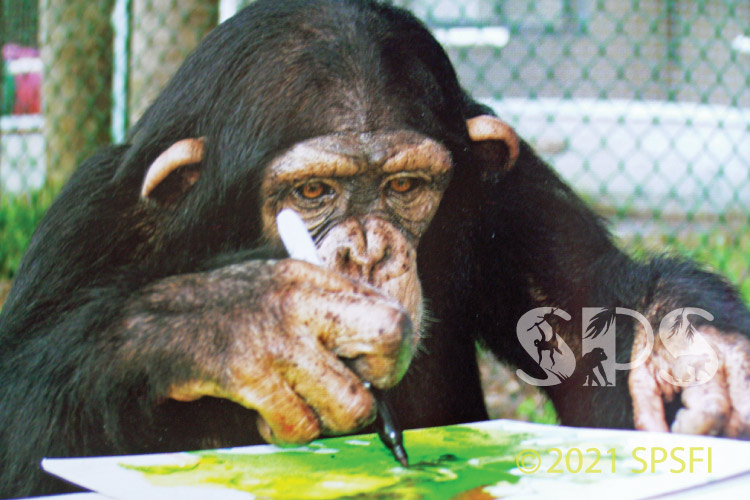 Chimp painting